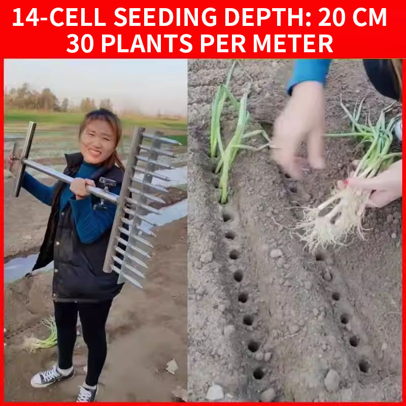 Vegetable Transplanter - Onion Planter, Rice Transplanter, Manual Hole-Punching