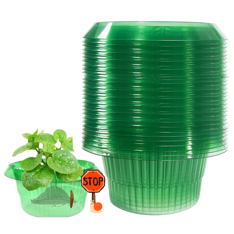 5-25Pcs Plants Slug Protection - Vegetable Transplanter ulasan dan harga