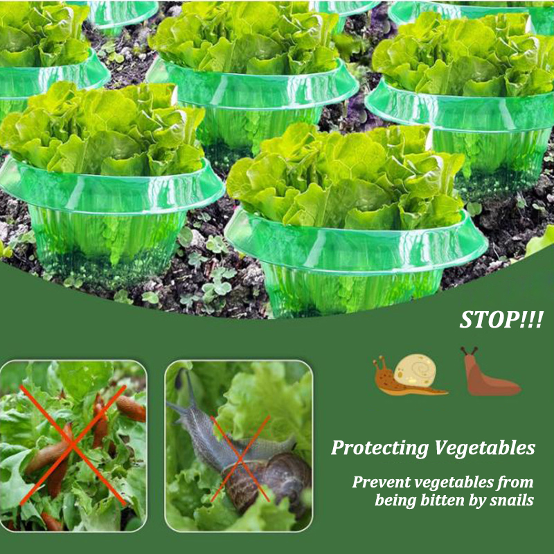 5-25Pcs Plants Slug Protection - Vegetable Transplanter ulasan dan harga