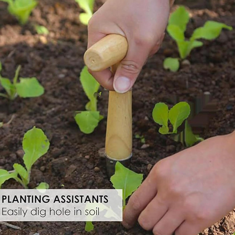 Vegetable Garden Seedling Tran - Vegetable Transplanter ulasan dan harga