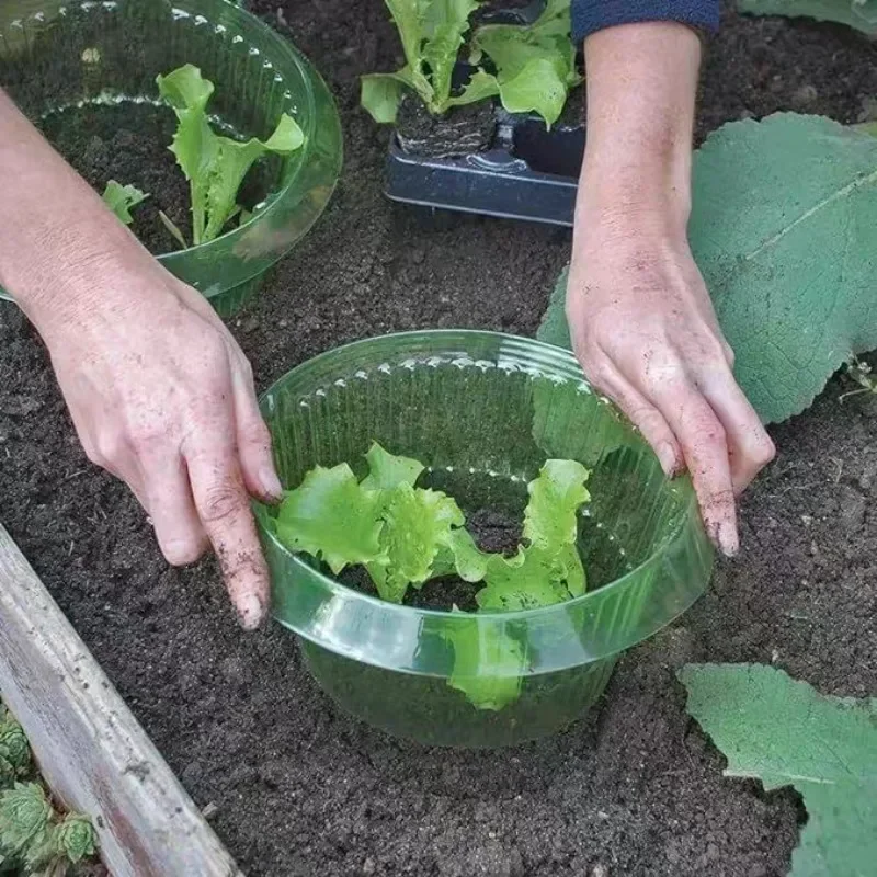 Plants Slug Protection Rings V - Vegetable Transplanter ulasan dan harga