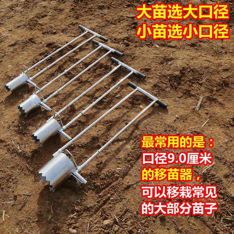 Vegetable seedling transplante - Vegetable Transplanter ulasan dan harga